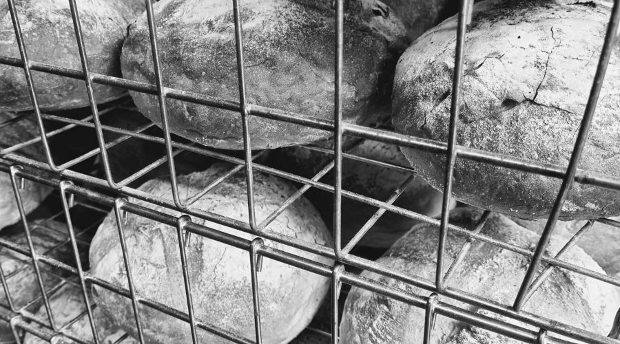 sour dough in wires