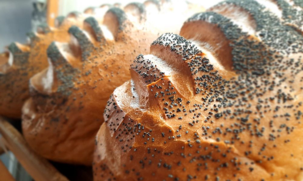 CLOSE UP BLOOMER