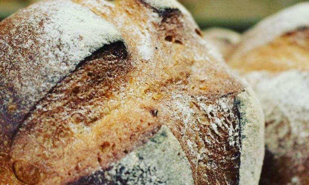 sour dough round