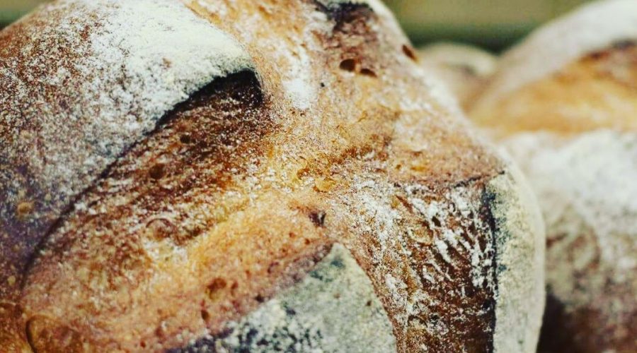 sour dough round